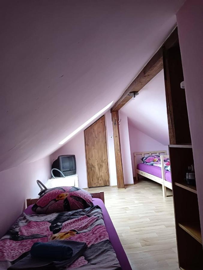 Hotel Penzion U Krbu à Loket Extérieur photo