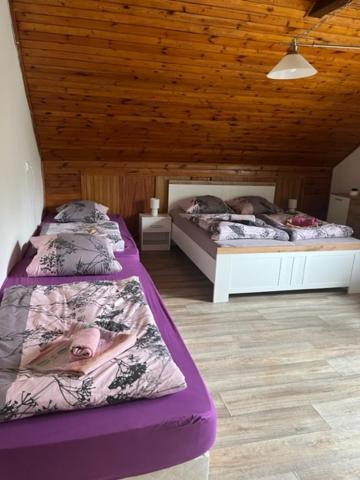 Hotel Penzion U Krbu à Loket Extérieur photo